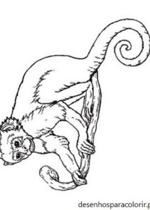 Desenhos de macacos 39